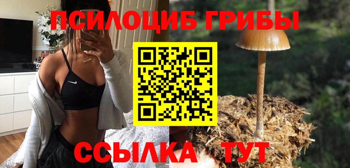 Кандалакша  Псилоцибиновые грибы MAGIC MUSHROOMS  купить наркотик  Вход с VPN 